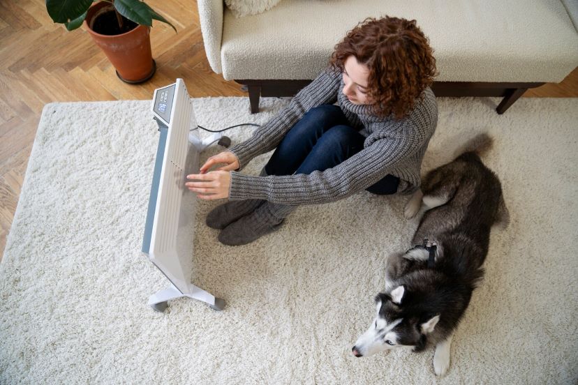 pet hair on carpets